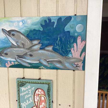 Kona Hawaii Guest House A Unique Hawaii Experience Keauhou Zewnętrze zdjęcie