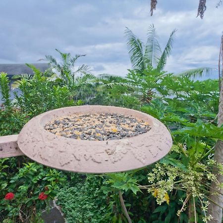 Kona Hawaii Guest House A Unique Hawaii Experience Keauhou Zewnętrze zdjęcie