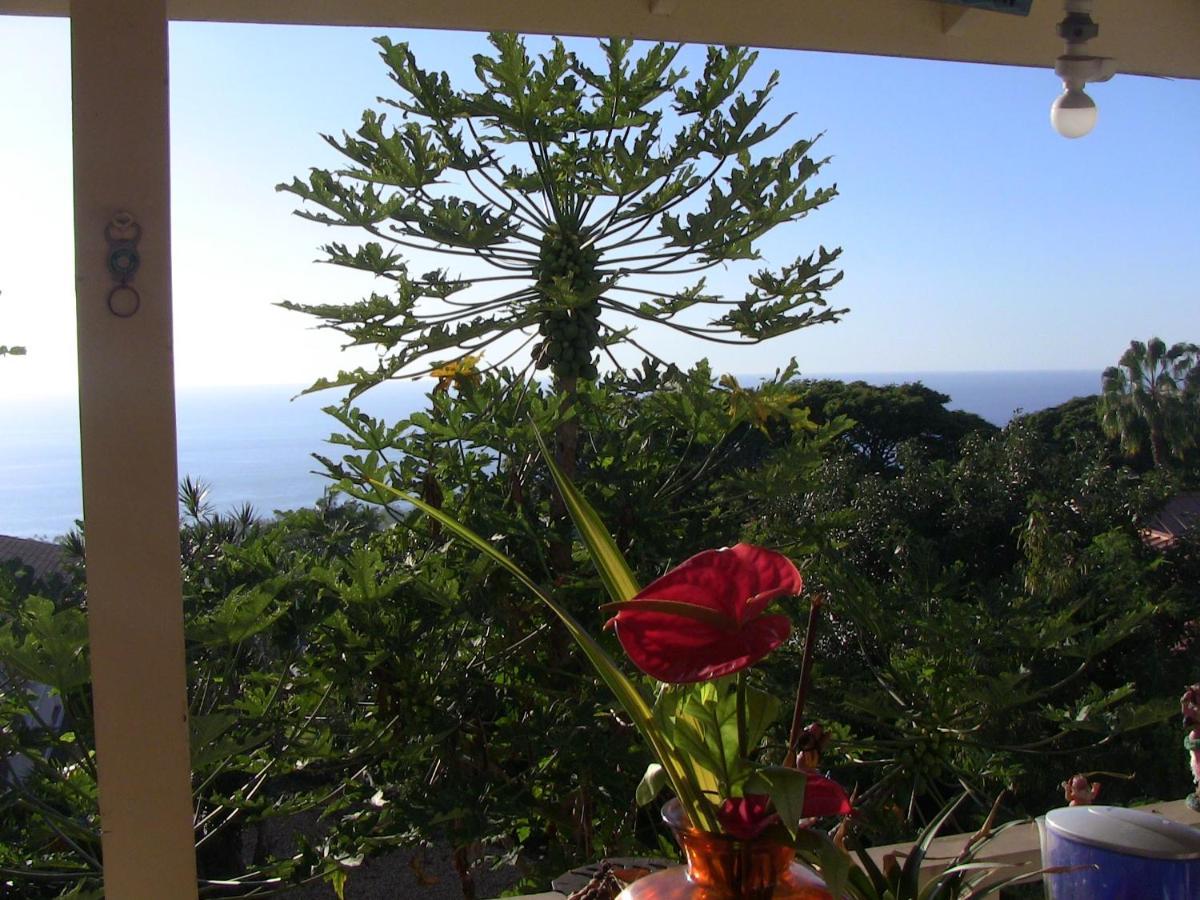 Kona Hawaii Guest House A Unique Hawaii Experience Keauhou Zewnętrze zdjęcie