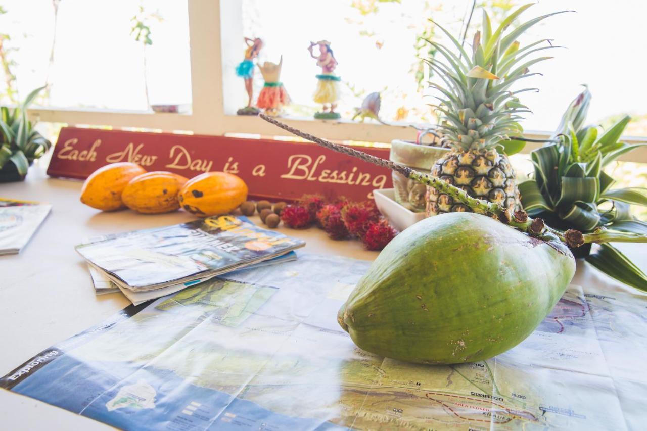 Kona Hawaii Guest House A Unique Hawaii Experience Keauhou Zewnętrze zdjęcie