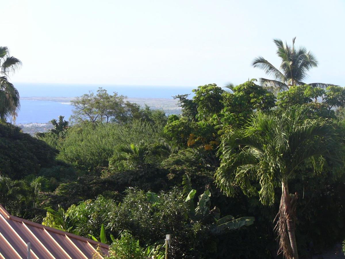 Kona Hawaii Guest House A Unique Hawaii Experience Keauhou Zewnętrze zdjęcie