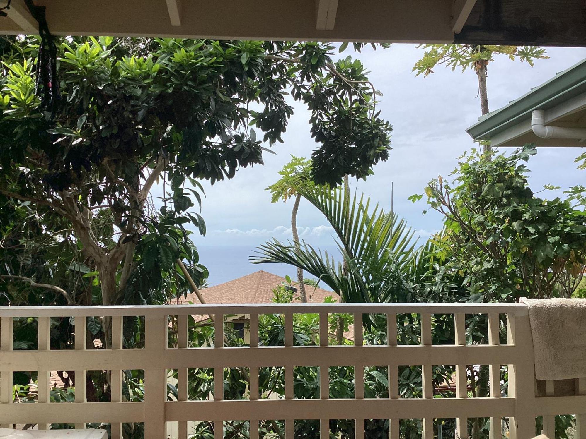 Kona Hawaii Guest House A Unique Hawaii Experience Keauhou Zewnętrze zdjęcie